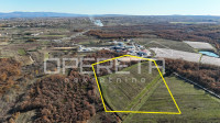 Posedarje – gospodarsko zemljište 25.000 m² uz magistralu, top lokacij