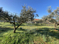 POSEDARJE, GRAĐEVINSKO ZEMLJIŠTE, 593 m2, BLIZINA CENTRA!