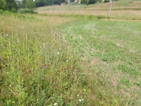 Povoljna građevinska parcela kraj Karlovca