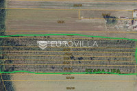 Požega, Stara Lipa, prostrano poljoprivredno zemljište 44 058 m²