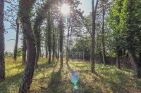 Predivan građevinski teren u okolici Rovinja