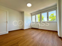 Prekrasan novouređen stan ili ured, centar Zagreba, Savska ulica 78 m2