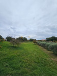 Prekrasna građevinska parcela nadomak Rovinja – 5.060 m²