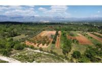 PRIDRAGA (Bobići Pedići) - 660 m² - Predivan pogled