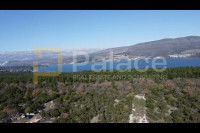 PRIDRAGA:  Građevinsko zemljište 1464 m2