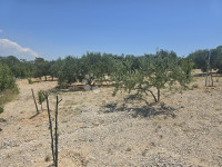 Primošten, Vadalj - Građevinsko zemljište 1256 m²