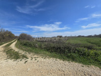 PRIVLAKA-poljoprivredno zemljište 3200m2