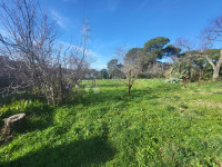 Prizemnica s potencijalom u Puli