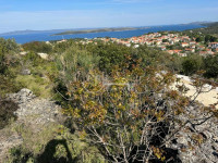 Prodaja, Dugi otok, Sali-građevinsko zemljište 1822m2