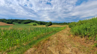 Prodaja  poljoprivredno zemljište 7.429 m² – Veliko Trojstvo