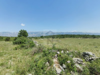 PRODAJA - POLJOPRIVREDNO ZEMLJIŠTE 7.928m2 - POSEDARJE