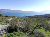PRODAJA - POLJOPRIVREDNO ZEMLJIŠTE 9.800m2 - POSTIRA