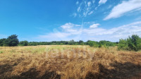 PRODAJA POLJOPRIVREDNO ZEMLJIŠTE - BLIZINA CENTAR VODNJAN