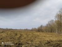 PRODAJA Poljoprivredno zemljište, Nova Gradiška,40 ha, 13.500  eura/ha