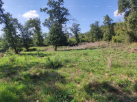 Prodaja-POLJOPRIVREDNO zemljište, Pula, Valtura!