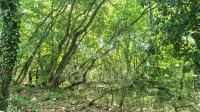 PRODAJA POLJOPRIVREDNOG ZEMLJIŠTA BLIZU URBANIZIRANOG DIJELA