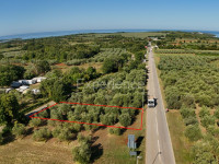 Prodaja poljoprivrednog zemljišta s stoljetnim maslinama u Vabrigi