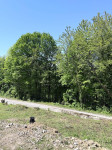 Prodaja, Samobor, građevinsko zemljište 847m2, oaza zelenila