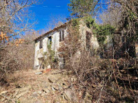 Prodaja- veliko imanje/stancija u središnjoj Istri, Pazin! Investicijs