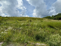 Građevinsko zemljište (M1), 15867m2, Gornja Dubrava