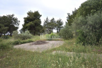 Vodice - zemljište 2271m2