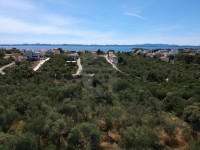 PRODAJA - ZEMLJIŠTE S MASLINAMA - ŽDRELAC