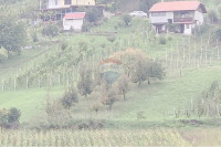 Prodaje se kuća u Zlataru s vinogradom 2444m2