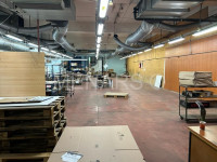 PROIZVODNA HALA, SKLADIŠTE, 1000 m2