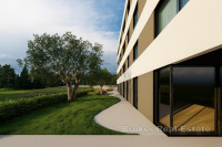 Prostran dvosoban stan u modernoj urbanoj zgradi