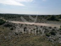 PROSTRANA POLJOPRIVREDNA PARCELA NA MIRNOJ LOKACIJI