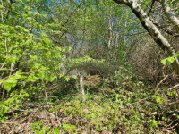 Prostrana šuma u srcu Materade