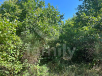 PROSTRANO POLJOPRIVREDNO ZEMLJIŠTE U OKOLICI VIŠNJANA