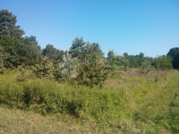 Prostrano poljoprivredno zemljište u Žbandaju