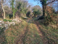 Pula,Krnica, poljoprivredno zemljište od 1309m2