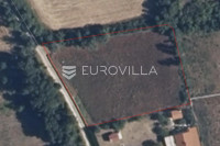 Pula, Šišan - prostrano poljoprivredno zemljište 1500 m od mora, 2972