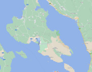 Punat - šuma za prodaju