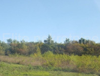 Rijeka, GORNJA DRENOVA, građevinsko zemljište 4032 m2, pogled na more