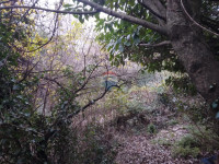 Rijeka, Kastav, građevinsko zemljište 870 m2