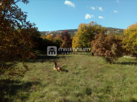 Rijeka, Škrljevo, građevinsko zemljište od 3.812m2
