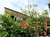 Ročko Polje - kuća prva u nizu, za adaptaciju