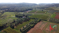 Rovinj, legalizirana kuća sa maslinikom i vinogradom na parceli od 447