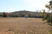 Rovinj, Rovinjsko Selo, veoma lijepa kampanja na Frati