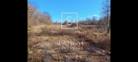 ROVINJSKO SELO, POLJOPRIVREDNO ZEMLJIŠTE 9300m2