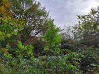 Ruševina, sjenik, osama