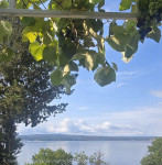 SAMO KOD NAS, DRAMALJ, KUĆA 30m OD MORA SA GARAŽOM!