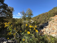 Saršoni, 3500m2, građevinsko zemljište za investiciju