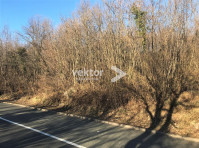 Saršoni, poljoprivredno zemljište 4.000m2