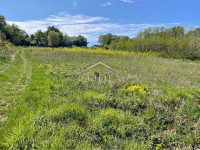 Savudrija, poljoprivredno zemljište