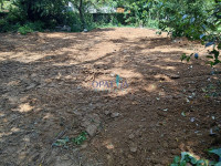 Savudrija, zemljište blizu mora!