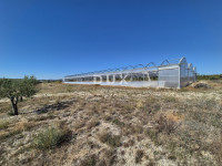 Šibenik, Martinska, poljoprivredno zemljište, 14.000 m²
